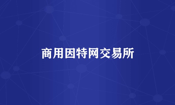 商用因特网交易所