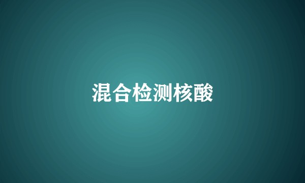 混合检测核酸