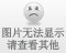 鸭坏死性肠炎