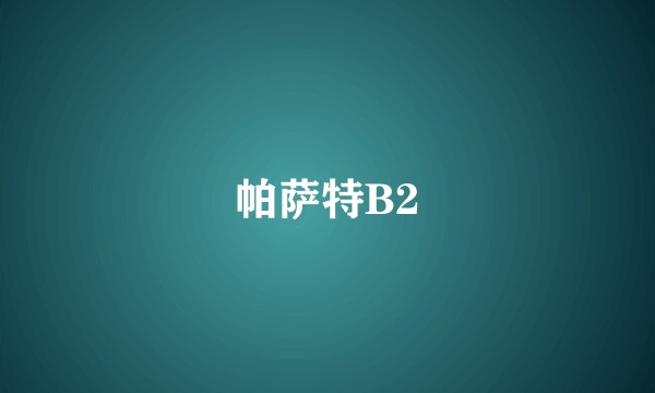 帕萨特B2