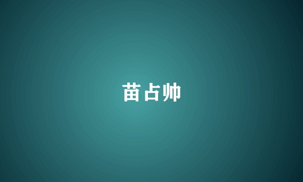 苗占帅