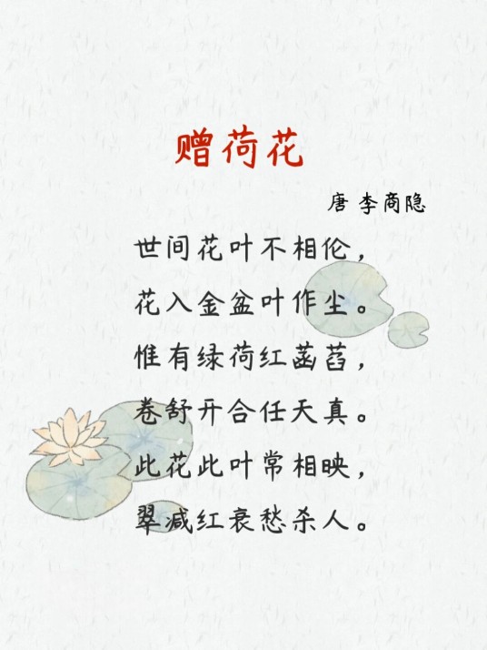 赠荷花