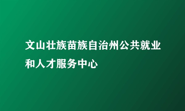 文山壮族苗族自治州公共就业和人才服务中心