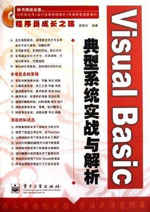 Visual Basic典型系统实战与解析