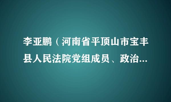 李亚鹏（河南省平顶山市宝丰县人民法院党组成员、政治部主任）