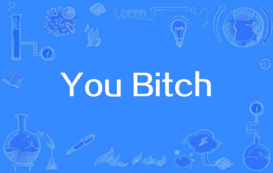 You Bitch