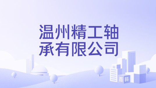 温州精工轴承有限公司