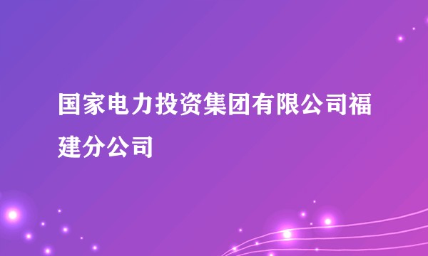 国家电力投资集团有限公司福建分公司