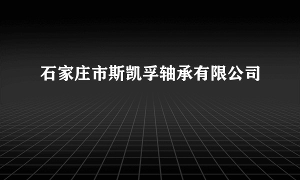 石家庄市斯凯孚轴承有限公司