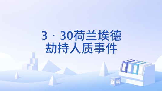 3·30荷兰埃德劫持人质事件