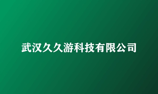 武汉久久游科技有限公司