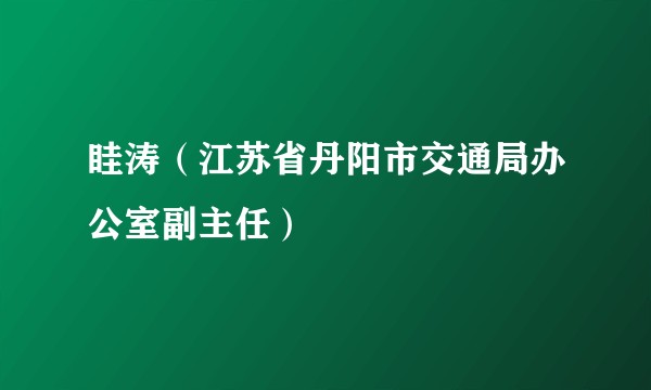 眭涛(江苏省丹阳市交通局办公室副主任)