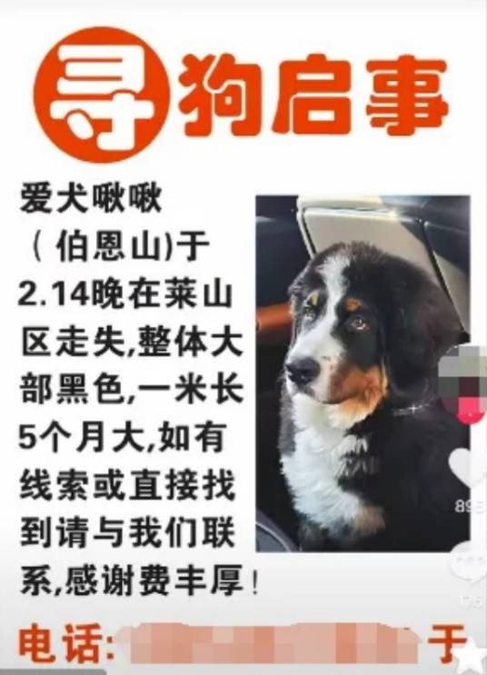 2·14烟台男子寻狗事件