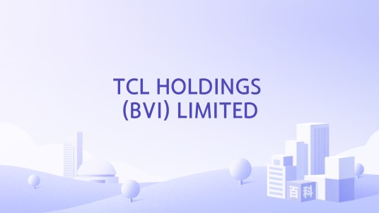 TCL HOLDINGS (BVI) LIMITED
