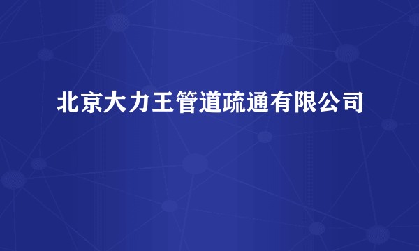 北京大力王管道疏通有限公司