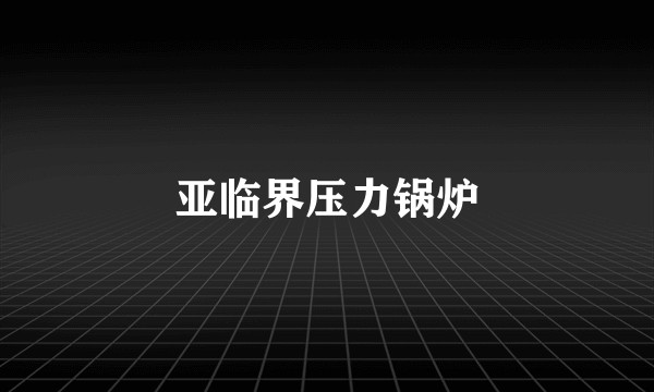 亚临界压力锅炉