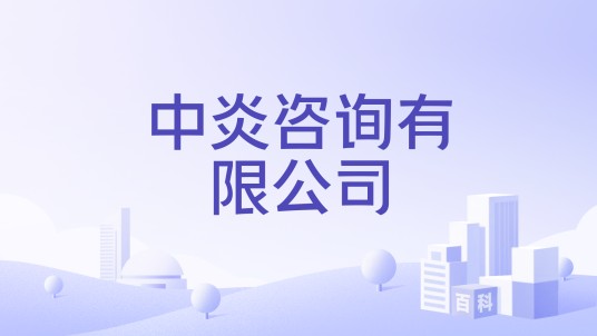 中炎咨询有限公司