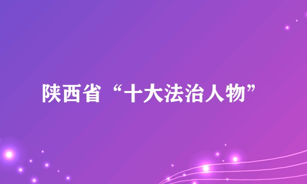 陕西省“十大法治人物”