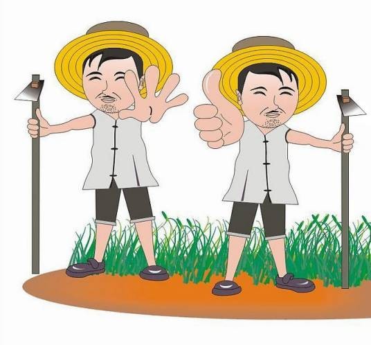 城市农夫