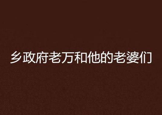 乡政府老万和他的老婆们