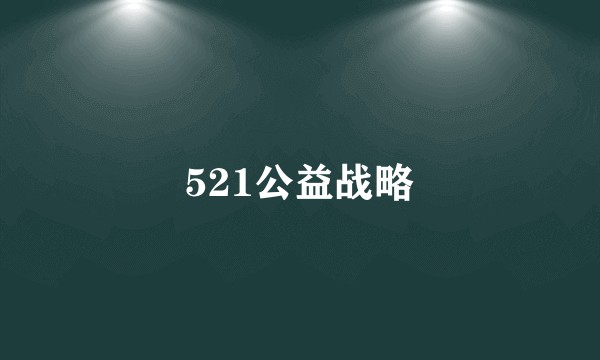 521公益战略