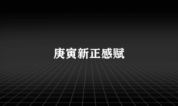 庚寅新正感赋