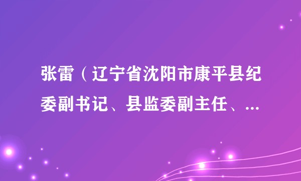 张雷（辽宁省沈阳市康平县纪委副书记、县监委副主任、一级监察官）