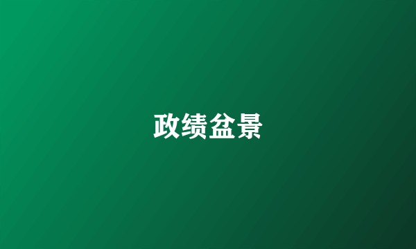 政绩盆景
