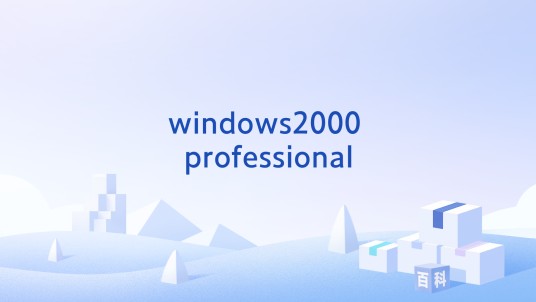 windows2000 professional