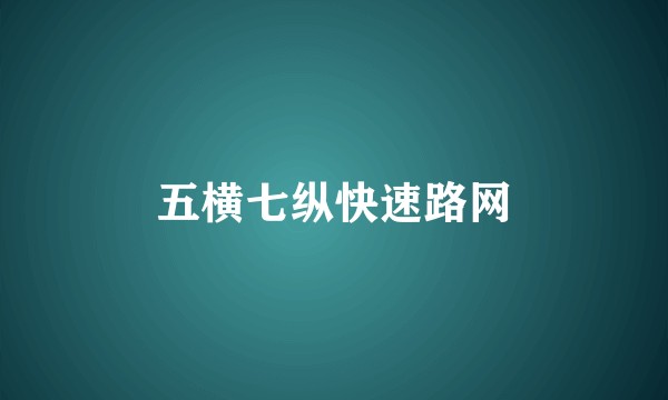 五横七纵快速路网