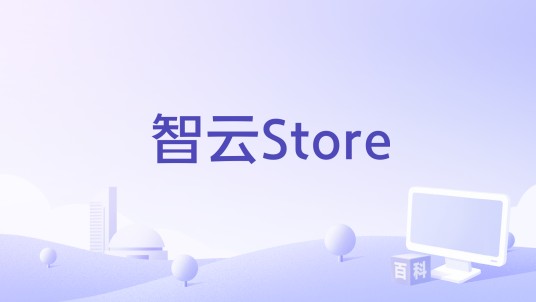 智云Store