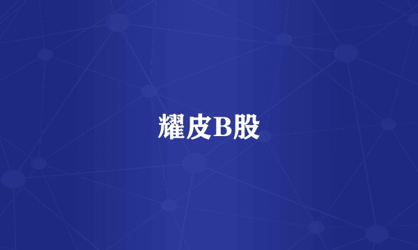 耀皮B股