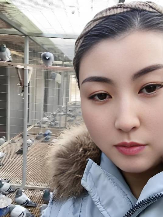 金伟鱼行赛鸽赵金伟