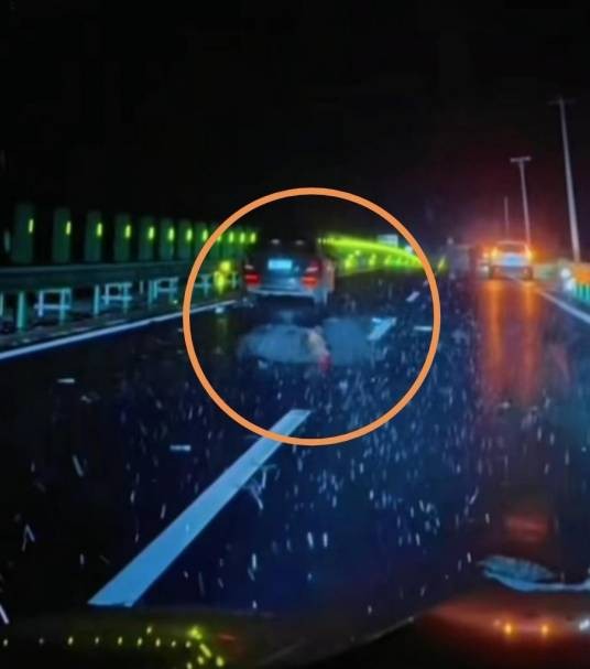 11·1吉林女子驾车撞死黑熊事件