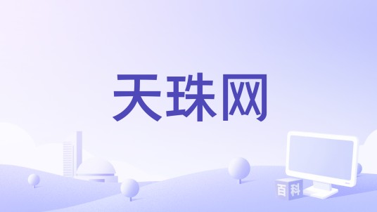 天珠网