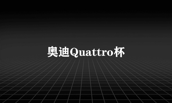 奥迪Quattro杯