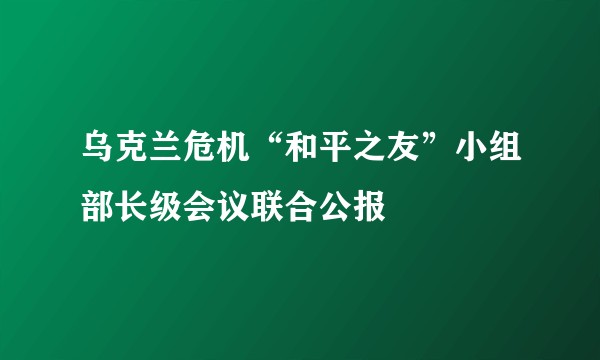 乌克兰危机“和平之友”小组部长级会议联合公报
