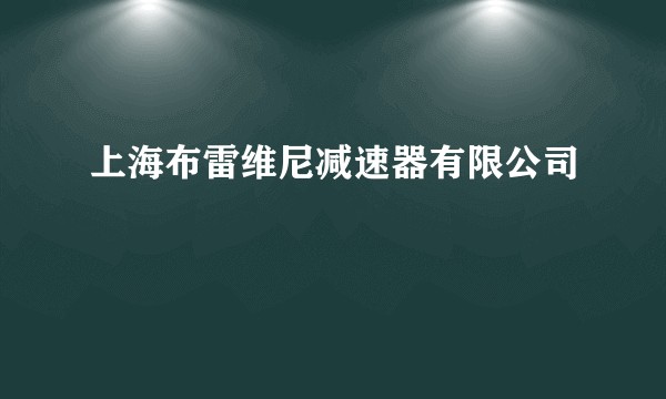 上海布雷维尼减速器有限公司