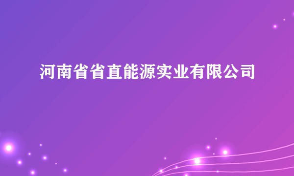 河南省省直能源实业有限公司