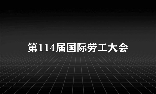 第114届国际劳工大会