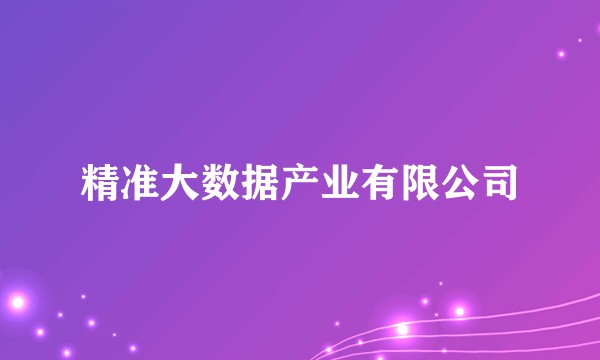 精准大数据产业有限公司