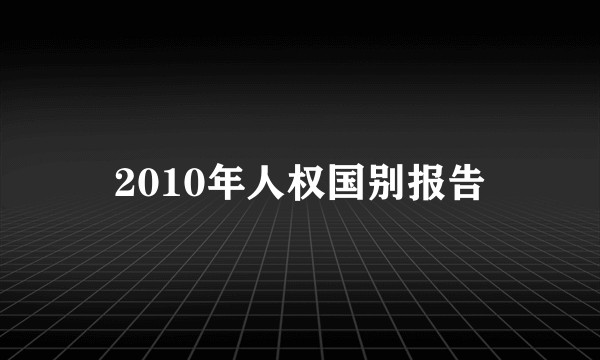 2010年人权国别报告