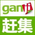 赶集宠物狗网