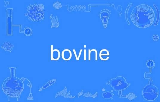 bovine