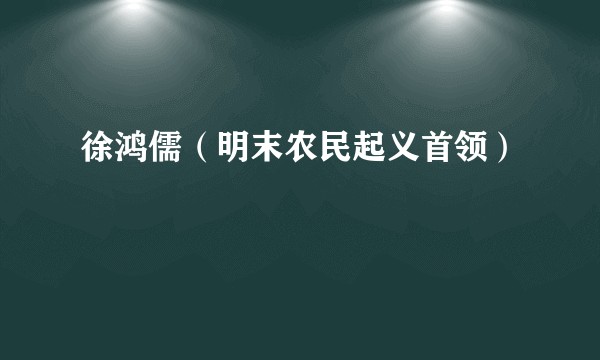 徐鸿儒（明末农民起义首领）