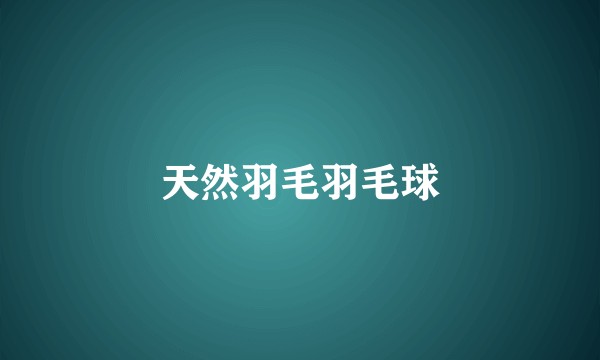 天然羽毛羽毛球