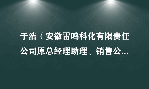 于浩（安徽雷鸣科化有限责任公司原总经理助理、销售公司经理）