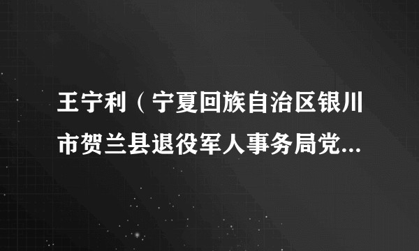 王宁利（宁夏回族自治区银川市贺兰县退役军人事务局党组成员、副局长）