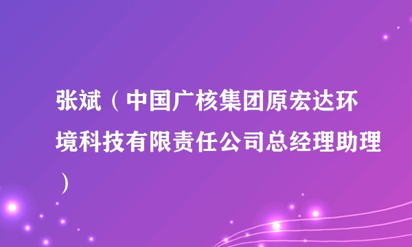 张斌（中国广核集团原宏达环境科技有限责任公司总经理助理）
