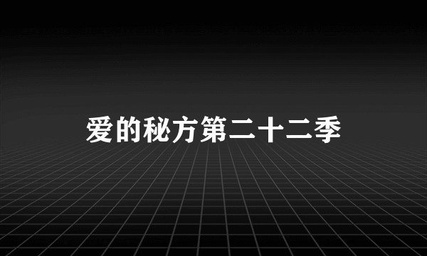 爱的秘方第二十二季